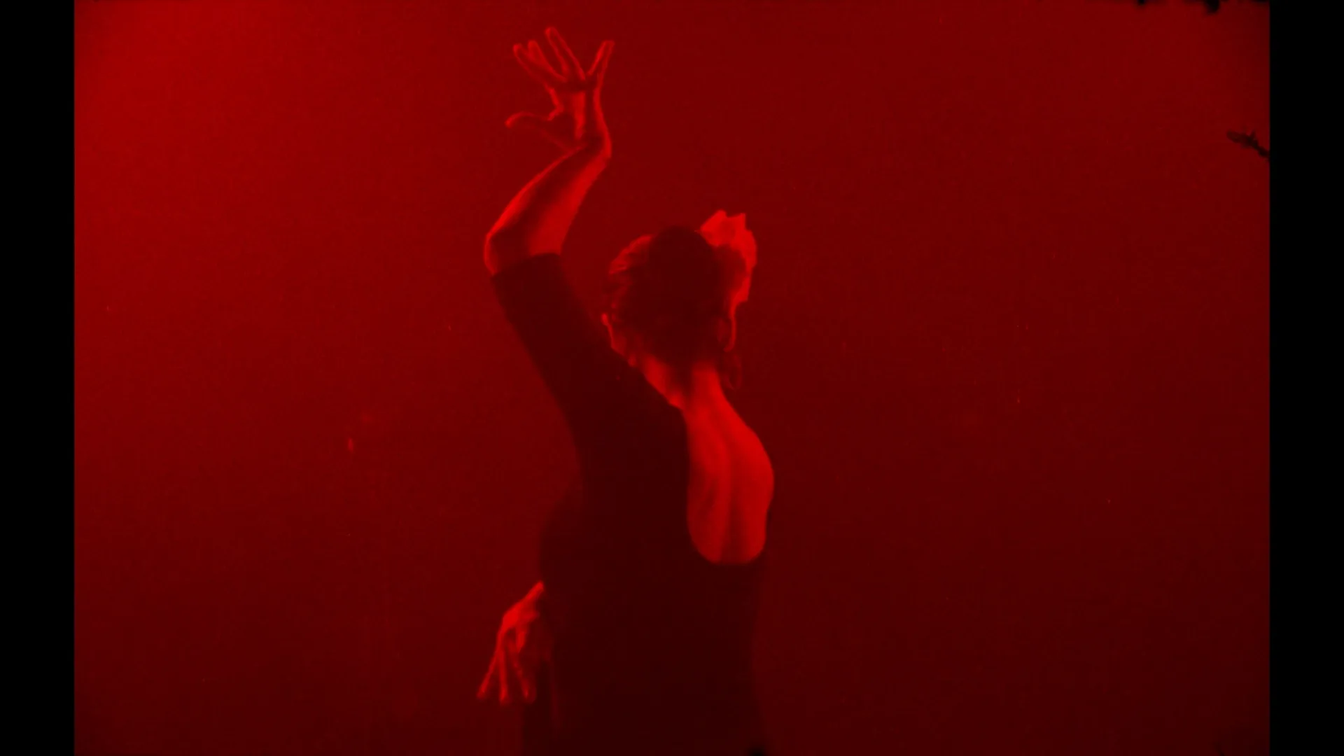 Image 4 of colorist-portfolio