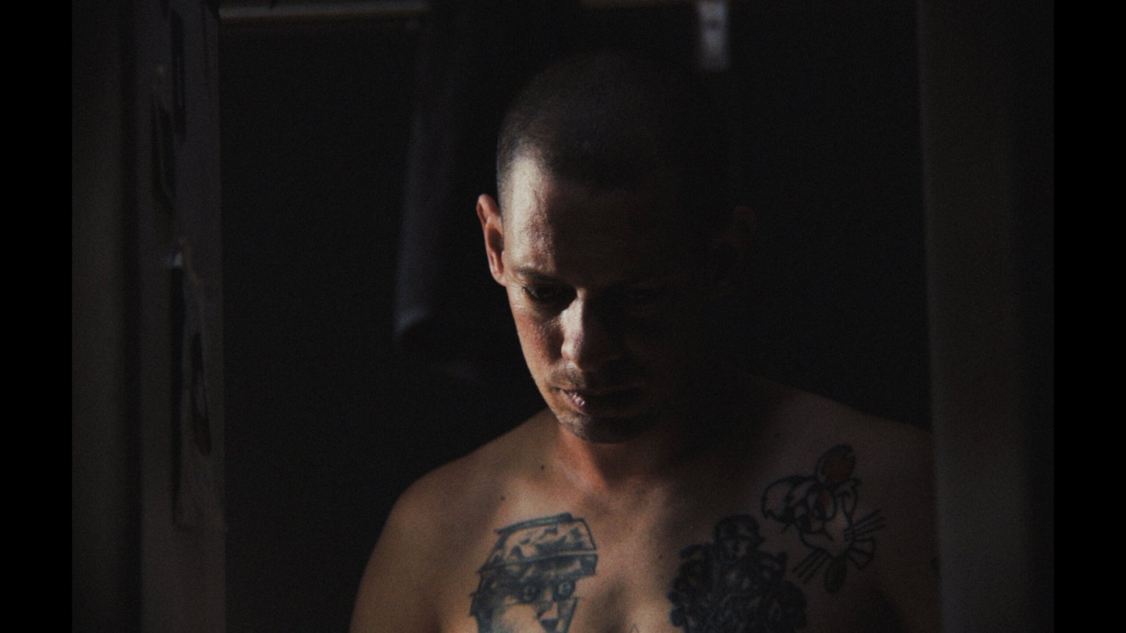 Camaleón still 3